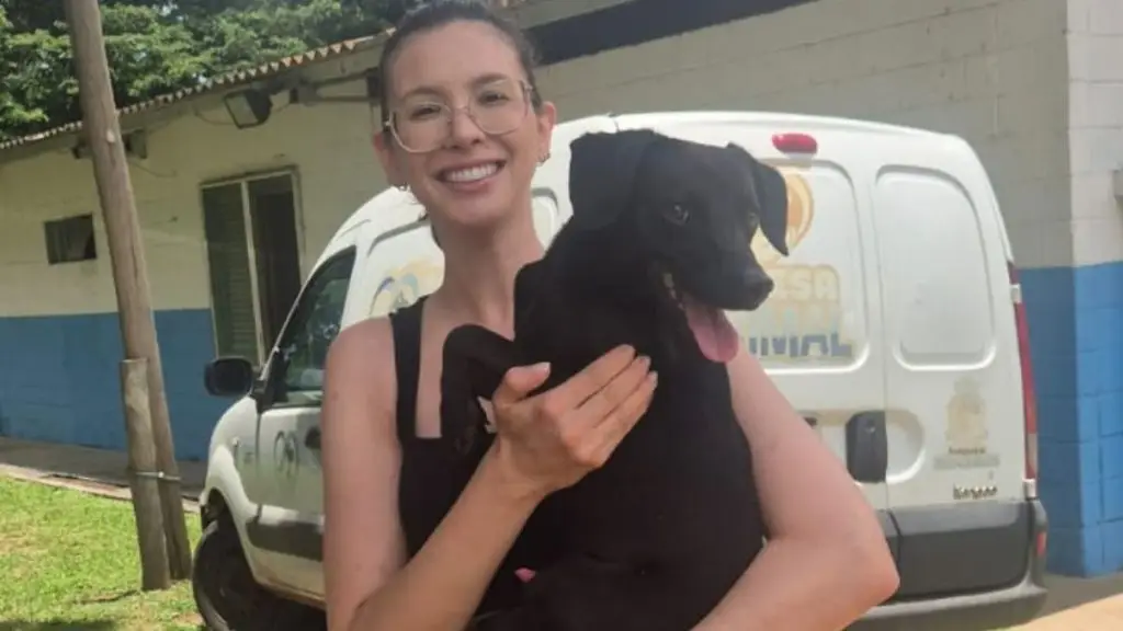 Feira de Adoção do Canil Municipal oferece mais de 280 animais neste sábado 4 viver 36 3