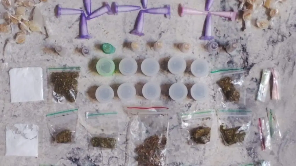 Guarda Municipal apreende drogas escondidas próximo a canavial no CDHU 4 viver 36 4