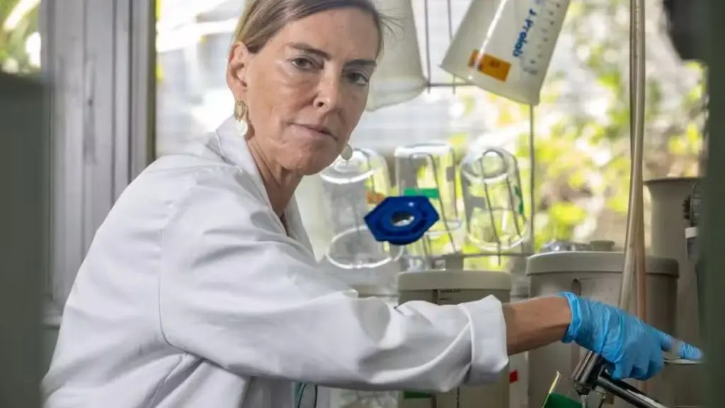 Pesquisadora da UFRJ apresenta em São Carlos estudo inovador sobre tratamento de lesão medular 4 viver 79 1