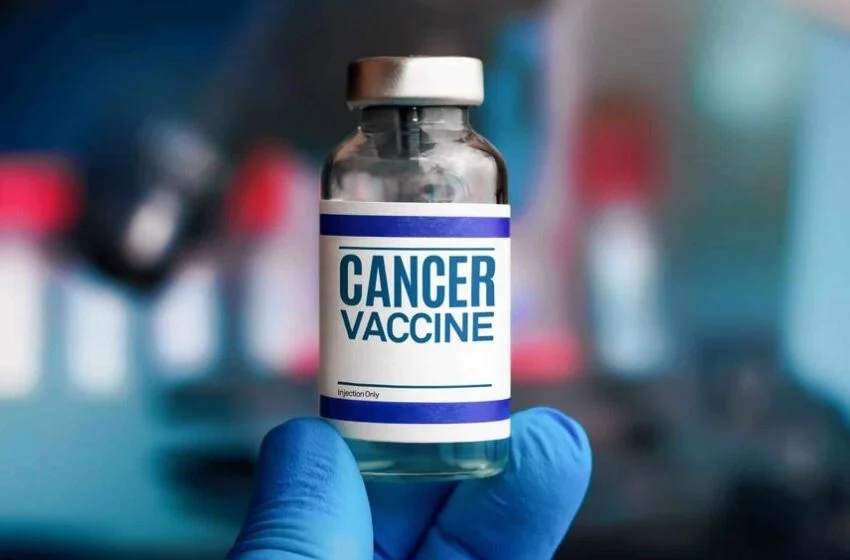 Vacinas contra o câncer avançam e Brasil pode participar de testes em humanos 4 image 185