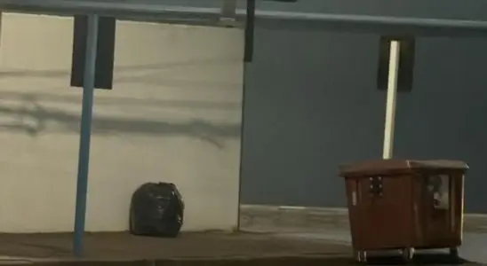 Contêiner chega, mas educação ainda não: lixo é deixado do lado e gera debate em São Carlos 4 viver 15 5