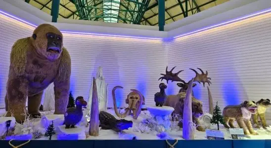 Últimos dias: exposição “Gigantes da Era do Gelo” entra na reta final no Shopping São Carlos 15 viver 15 7