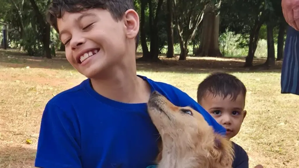 Feira de adoção garante novos lares para seis animais em São Carlos 4 Design sem nome 13 4