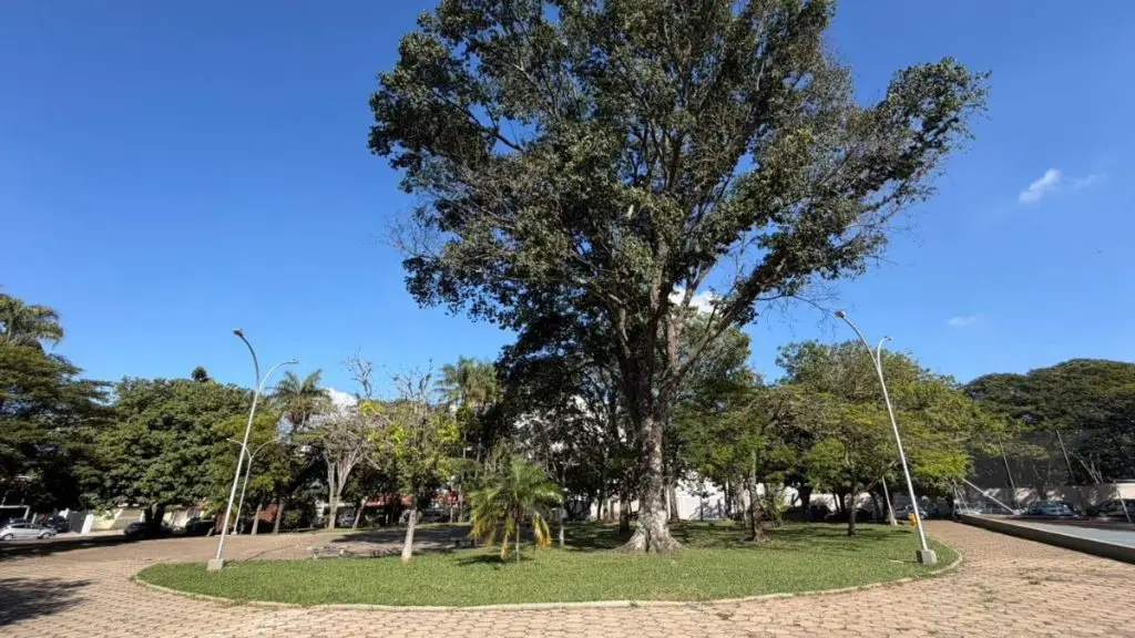 Unimed na Praça celebra 55 anos com saúde, lazer e diversão em São Carlos 4 Design sem nome 37 2