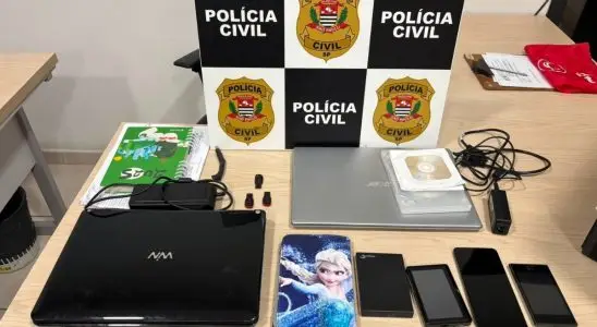 Operação contra golpes virtuais prende 21 suspeitos e mira quadrilhas que causaram prejuízo milionário 1 Design sem nome 16 8