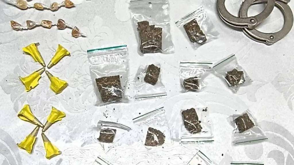 Guarda Municipal apreende drogas escondidas em tubulação de drenagem em Ibaté 4 Design sem nome 20 1