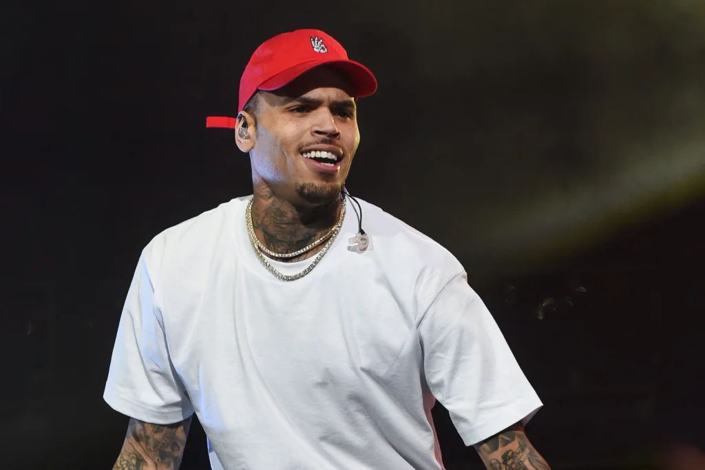 Chris Brown é condenado a pagar R$ 67 milhões após ataque de cão à funcionária 4 image 4