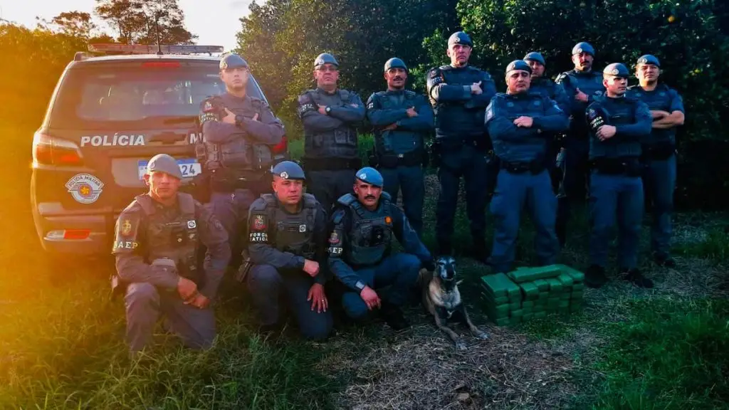 Polícia Militar apreende 35 quilos de maconha enterrados em sítio em Santa Rita do Passa Quatro 4 Design sem nome 28 3