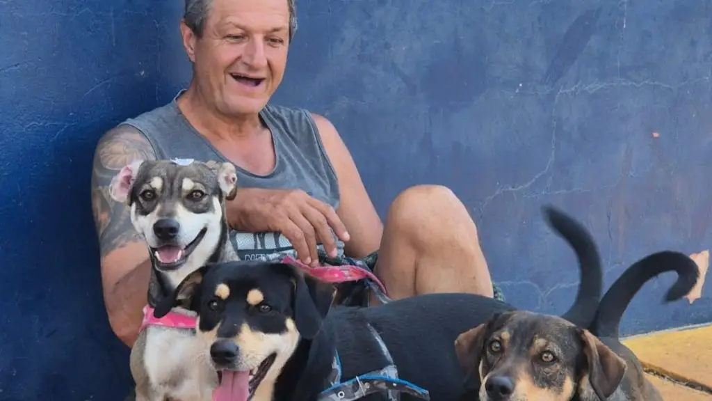 Mutirão de castração atende cerca de 350 animais em São Carlos 4 Design sem nome 37 1
