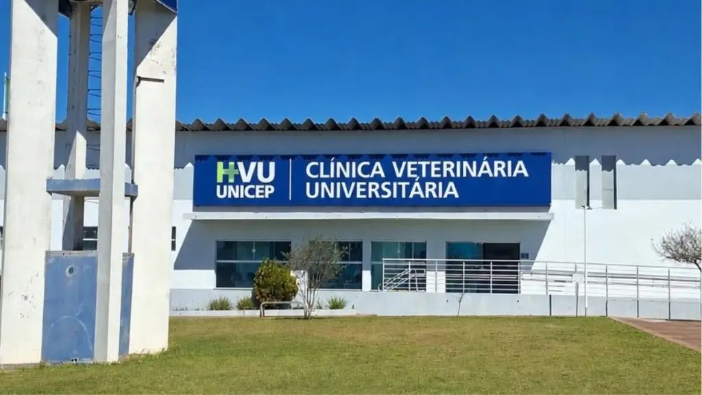 Clínica Veterinária Universitária HVU UNICEP completa 10 anos de cuidado e compromisso com a saúde animal em São Carlos 4 Design sem nome 70