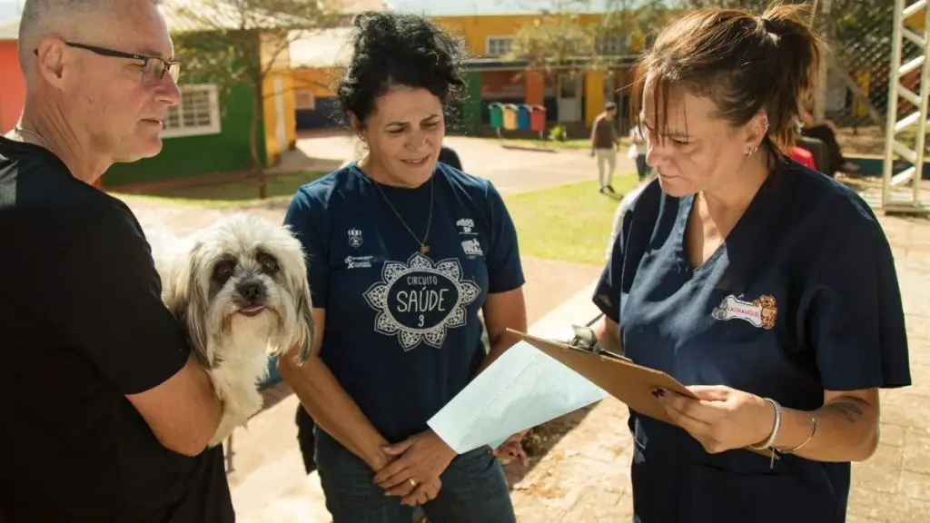 Castração gratuita de cães e gatos terá 400 vagas disponíveis em setembro 4 Design sem nome 17