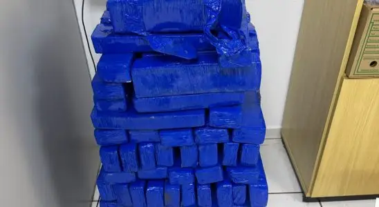 Ficco e Polícia Rodoviária apreendem 195 quilos de maconha em Taquaritinga 15 Pagina 17 1