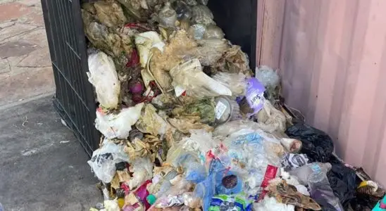 “Caça” aos recicláveis deixa rastro de sujeira e transtorno pelas ruas de São Carlos 1 Design sem nome 52